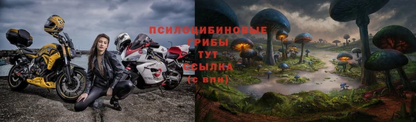 ешки Надым
